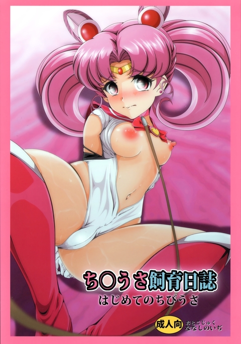 Sailor moon rini xxx