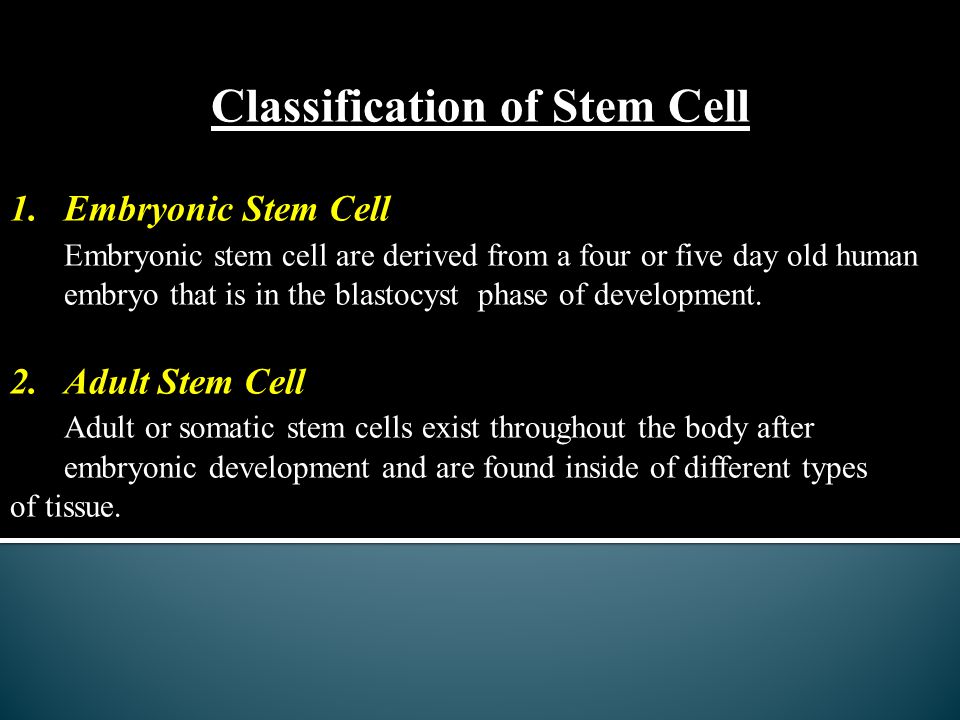 Diseases adult stem cells cure
