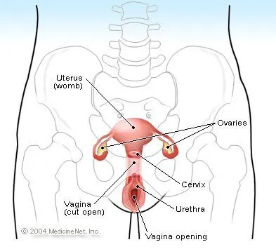Vaginal bleeding after sexual intercourse