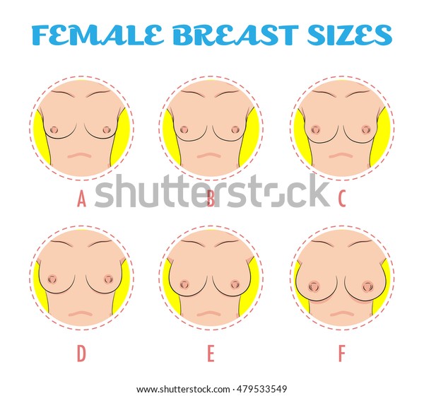 Boobs pics and sizes
