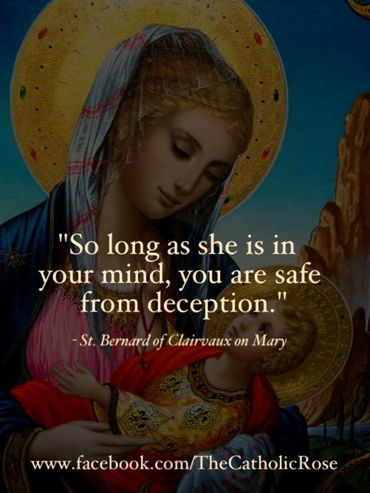 Saint bernard the blessed virgin mary