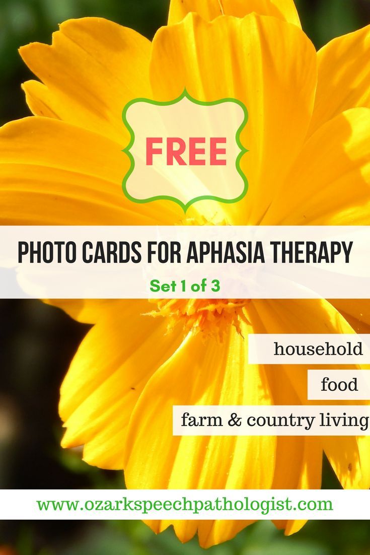Free animated flash adult cards