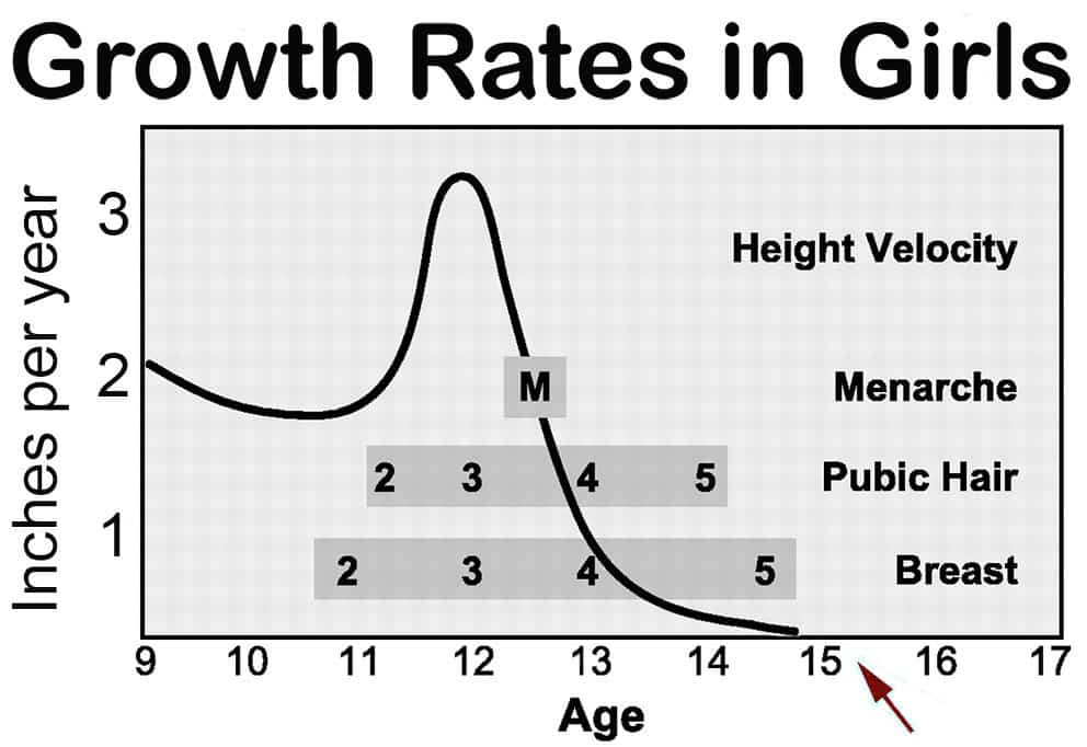 Age penis growth ends