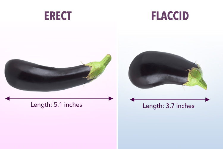 Men with average penis size