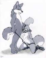 Furry yiff chastity cage