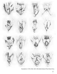 Porn images pussy drawings