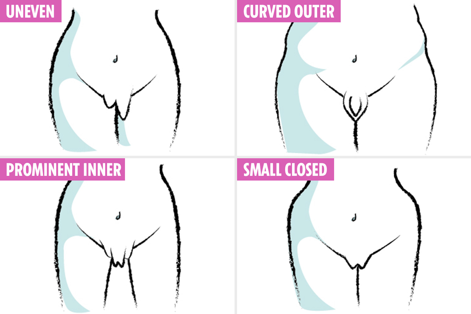 All shape and sizes of pussy